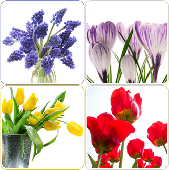 pic_home_trends[1]