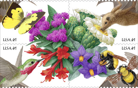 pollinator-stamp[1]