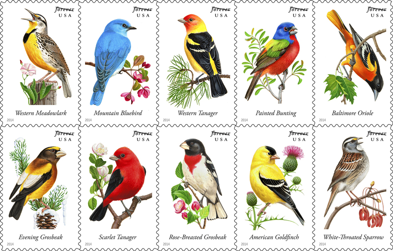 postal-service-bird-stamps