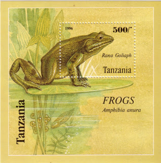 Bullfrogs Aid Rapid Amphibian Decline with Deadly Pathogen–But Also Die
