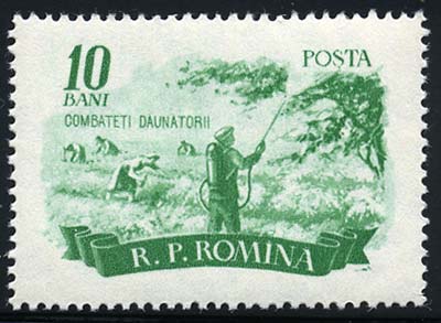 romania_03_pest[1]