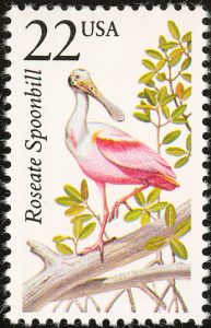 roseate spoonbill