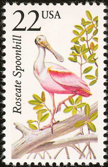 roseate spoonbill