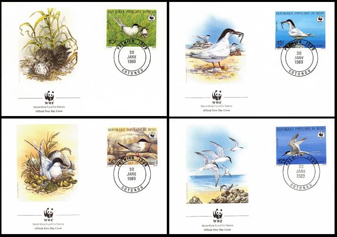 roseate terns