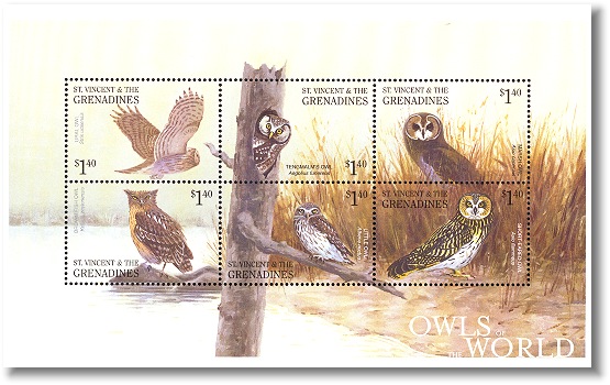 sav0126sh-owls-world[1]