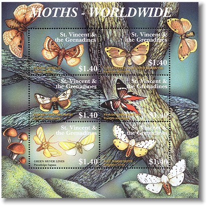 sav0149sh-moths6[1]
