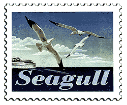 seagull