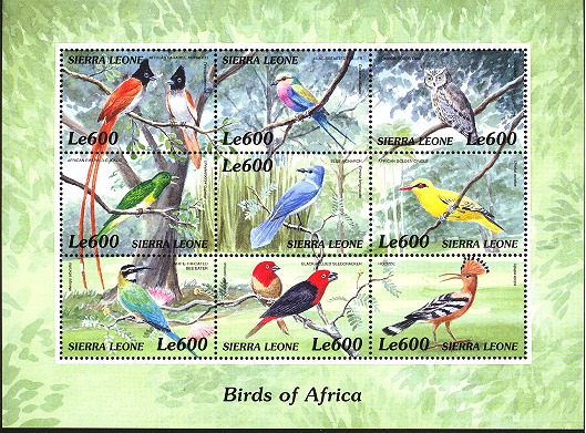 sie0002sh3-birds-africa[1]