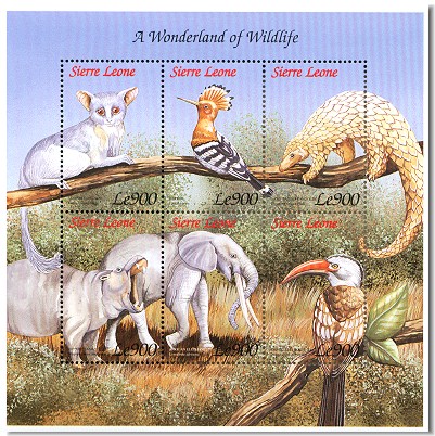 Wildlife Ecotoxicology of Pesticides: Can We Track Effects to the Population Level and Beyond?