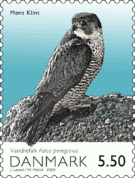 slechtvalk_denemarken_2009_natuur_postzegel[1]