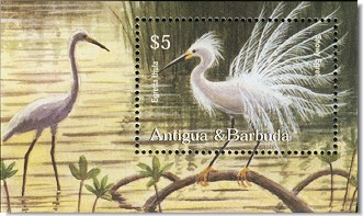 snowy egret