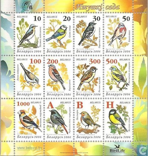 songbirds belarus