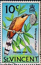 st-vincent-1973-birds-sg-366-mangrove-cuckoo-fine-used-14586-p[1]
