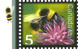 stamp-northern_bumblebee[1]