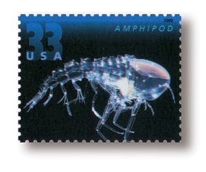 stamp1_550_74275[1]