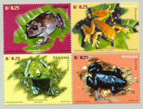 Are frogs on the brink of extinction?