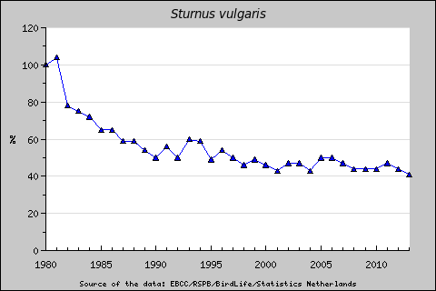 starling