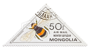 stock-photo-18441546-bumblebee-stamp[1]