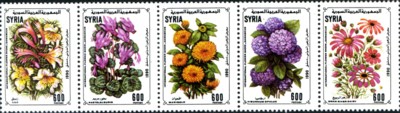 syrie-bloemen-strip-886-400p[1]