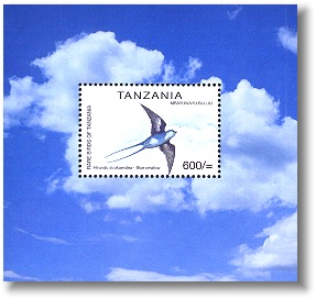 tan0105ss-swallow[1]