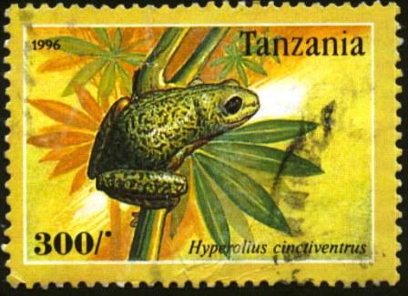 tanzania-8[1]