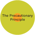 the-precautionary-principle[1]