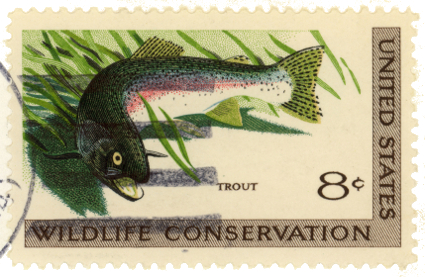 trout-stamp