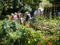 tuin5[1]