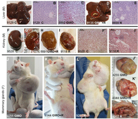 tumors[1]