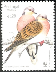 turtledove[1]
