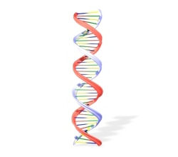 uka_dna_gmo[1]