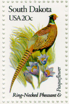 usssd[1]