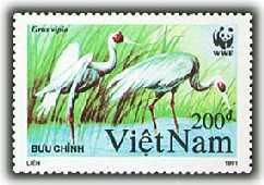 veitnam91_cranes_1[1]