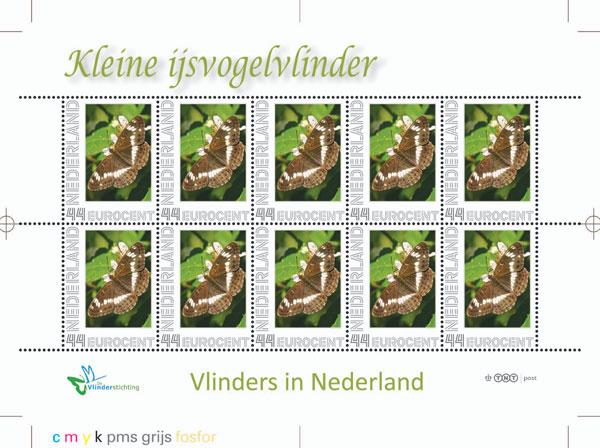 velkleineijsvogel[1]