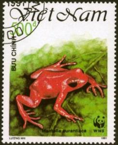 Amphibian Immune Defenses against Chytridiomycosis: Impacts of Changing Environments