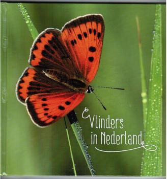 vlinder