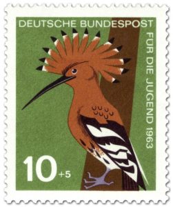 vogel-wiedehopf-upupa-epops-upupidae[1]