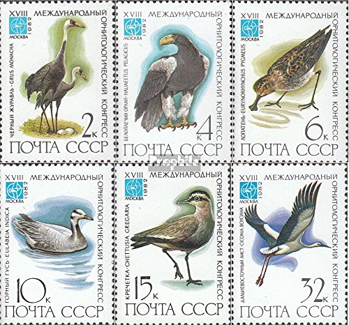 vogels rusland