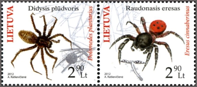 vorai[1]