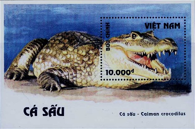 vt58[1]