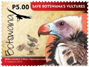 vultures2
