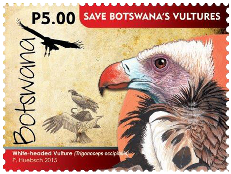 vultures2