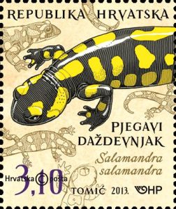 vuursalamander