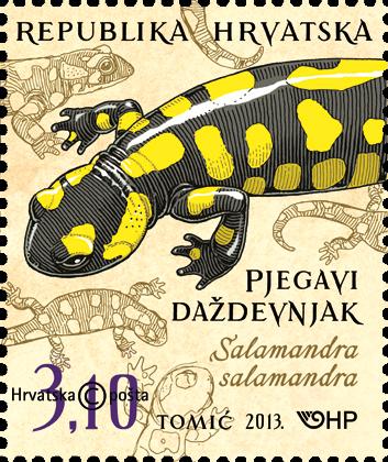 Die Bestände des Feuersalamanders sind vielerorts besorgniserregend rückläufig