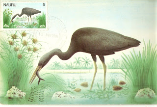 wading bird