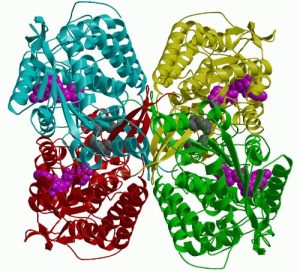 xray-4[1]