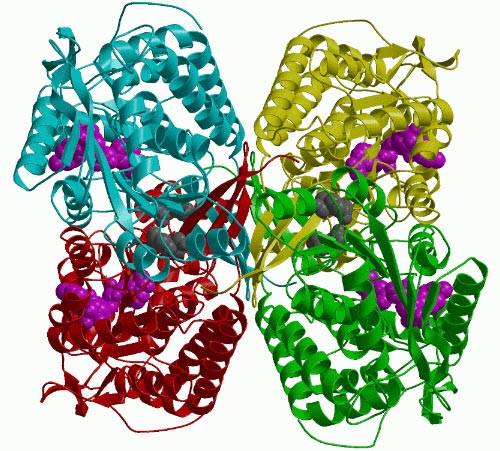 xray-4[1]
