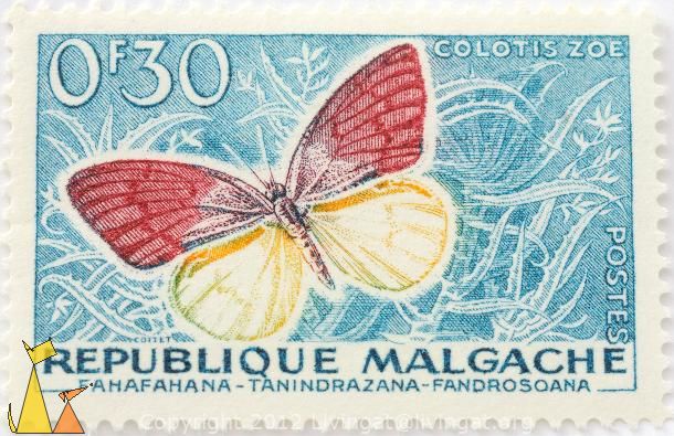 y_Republique_Malagache_Madagascar_stamp_insect_Fahafahana_Tanindrazana_Fandrosoama_Postes_0_30_F_Colotis_zoe_Cottet