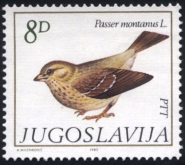 yugoslavia-23[1]