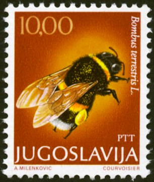 yugoslavia-4[1]